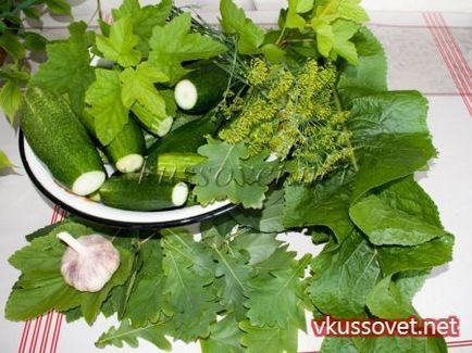 Огірки «донські» з листям дуба, рецепт з фото покроковий