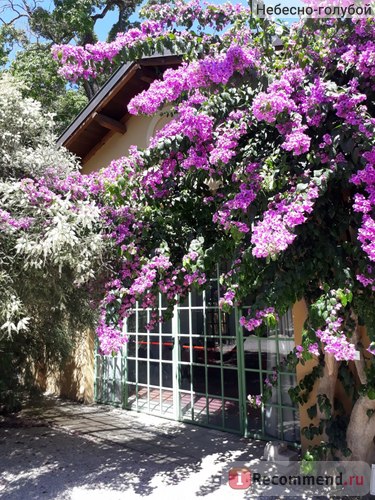 Orto botanico dell universitate di roma la sapienza, grădina botanică din Roma, italia - 