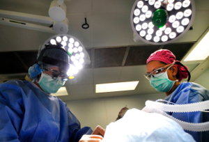 Otolaryngology - ENT betegség (ENT) Otolaryngology - ENT betegségek