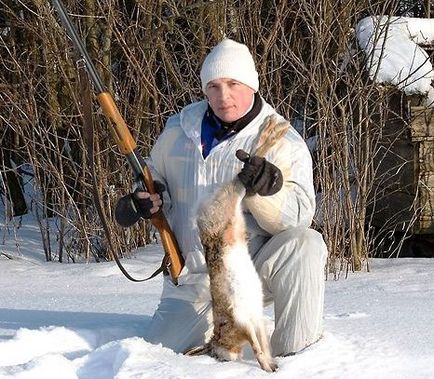 Полювання на зайця взимку як читати сліди зайця