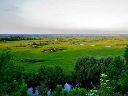 Protecția naturii, zoomir