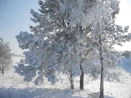 Protecția naturii, zoomir