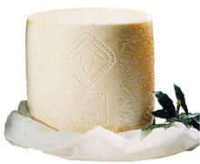 Pecorino - pecorino