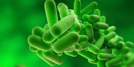 O metodă promițătoare pentru prevenirea cariilor în viitor este luarea de probiotice - stomatologie - știri și