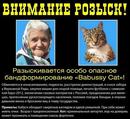 Afișul cu bunica și pisica a devenit inspirația pentru satira populară, binevenită în țara web!