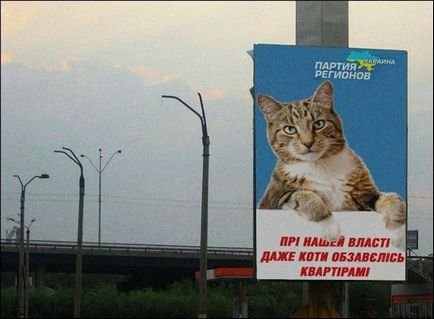 Poster vele macska ihlette népi szatíra, szívesen web országban!