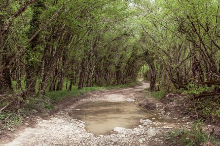 Плесецьк водоспади - фотографії, маршрут, карта