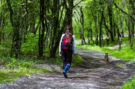 Plesetsk cascade - fotografii, itinerariu, hartă