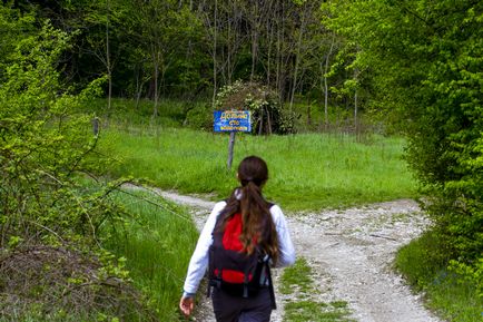 Plesetsk cascade - fotografii, itinerariu, hartă