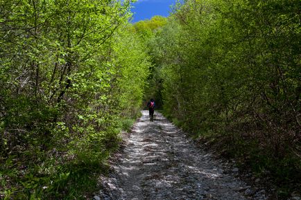 Plesetsk cascade - fotografii, itinerariu, hartă