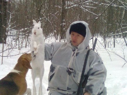 Érvek és ellenérvek az észt kutyákat a vadászat