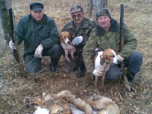 Érvek és ellenérvek az észt kutyákat a vadászat