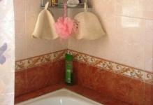 Полиці для ванної кімнати кутовий фото, пластикові своїми руками, душ і ванна, навісні скляні