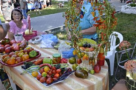 Свято Сизранський помідор