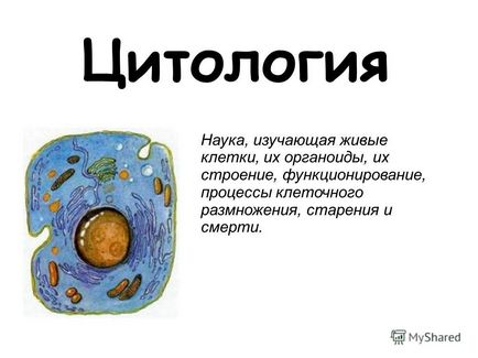 Презентація на тему цитологія наука, що вивчає живі клітини, їх органели, їх будова,