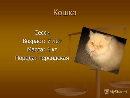 O prezentare pe tema unei pisici și a unui câine în oglinda fizică a școlii mole - vuvk eva - a fost realizată de un student 9