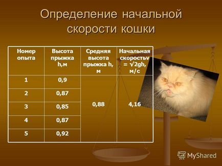 Презентація на тему кішка і собака в дзеркалі шкільної фізики Моул - вувк єва - виконав учень 9 а