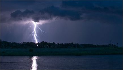 Natura statului Florida, enciclopedie Statele Unite