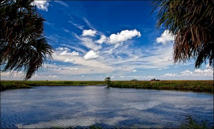 Natura statului Florida, enciclopedie Statele Unite