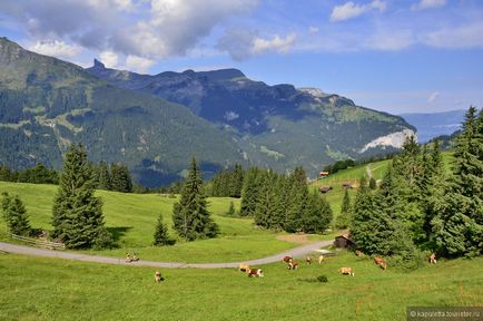 Az út a Jungfraujochra, hogy vizsgálják felül a turista kapuletta