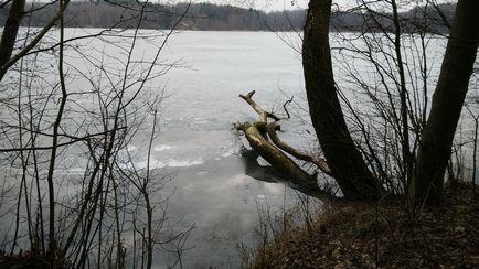 Ghid de apă