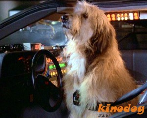 A történetek a film Vissza a jövőbe 1 (Doc Brown kutya) A történetek a film Vissza a jövőbe 1