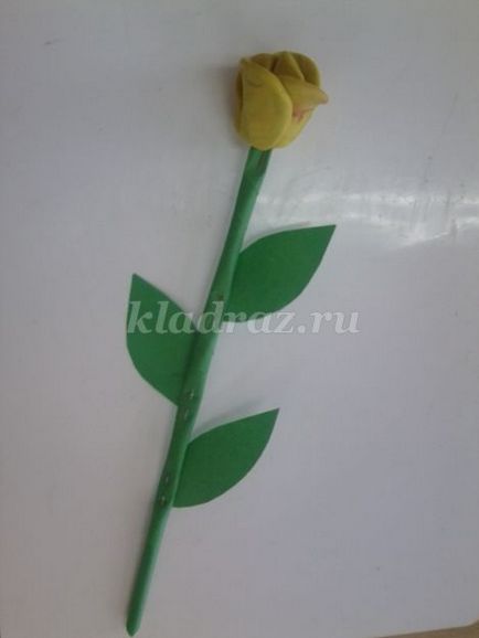 Rose de plasticină pentru copiii dumneavoastră 5-7 ani