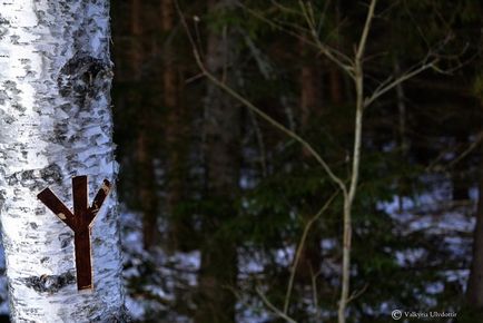 Північна традиція