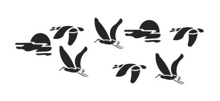 Bird Templates