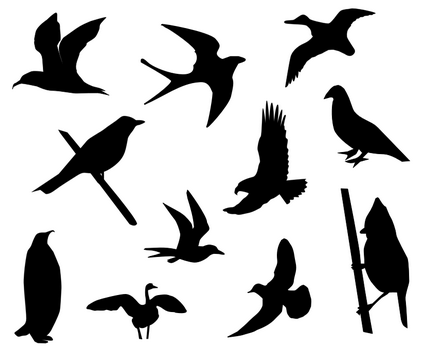 Bird Templates