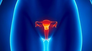 Sindromul rezistent la ovare - Sănătatea femeii și stilul de viață