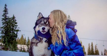 A mese a kutya és a lány, aki megmentette egymást 1