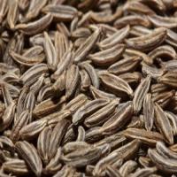 Cât timp puteți să depozitați semințe de chimen?