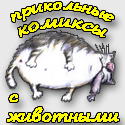 Смішні комікси з прикольними тваринами - дивитися і веселитися