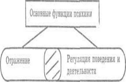 Сучасні уявлення про етапи розвитку психіки