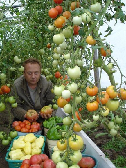 Суперогород своїми руками адже можемо, якщо захочемо! Русский сенатор