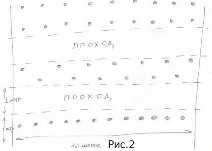 Plantarea plantelor de cartofi, grădina și grădina mea