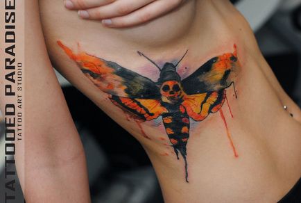 Татуювання метелик - значення, ескізи тату і фото