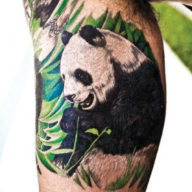 Panda Tattoo