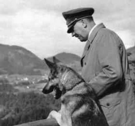 Таємниця смерті гітлер всі факти про самогубство фюрера і міфи про його порятунок, політпазл