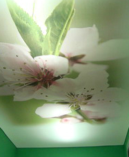 Fabric felső CLIPSO, fotók és az árak - a telepítés (plafon) Fabric felső CLIPSO, fotók és az árak - a telepítés