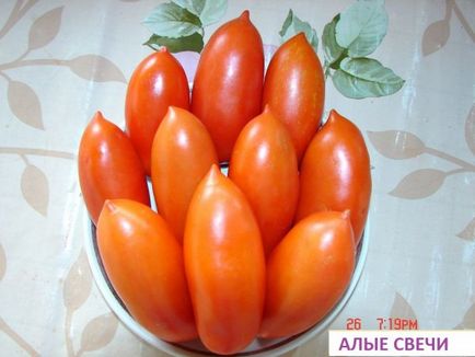 Tomate lumanari de stacojiu - descrierea soiului, cultivarea