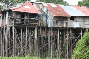 Традиційні будинки на палях у в'єтнамських селах