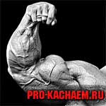 Вправа молот - pro-kach - бодібілдинг для початківців