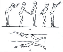 Вправи для вивчення техніки плавання батерфляєм