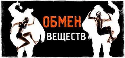 Вправи, програма тренувань і дієта Кріс Хемсворт для зйомок у фільмі тор - fitnestoday