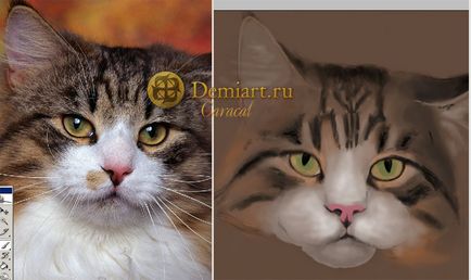 Photoshop bemutató hogyan felhívni a macskák, a számítógépes grafika - egy kicsit mindenből