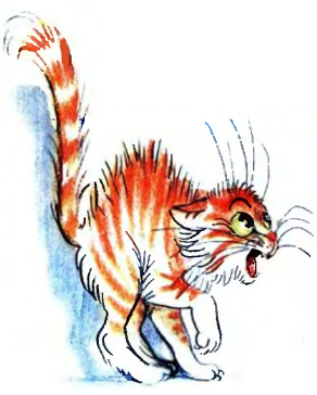 Урок малювання по казці ва «примхлива кішка», поетапні схеми малювання