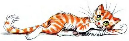 rajz leckét a történet wa „hóbortos macska” inkrementális rajz program