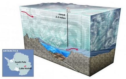 Est a găsit o formă necunoscută de viață în Lacul Antarctic